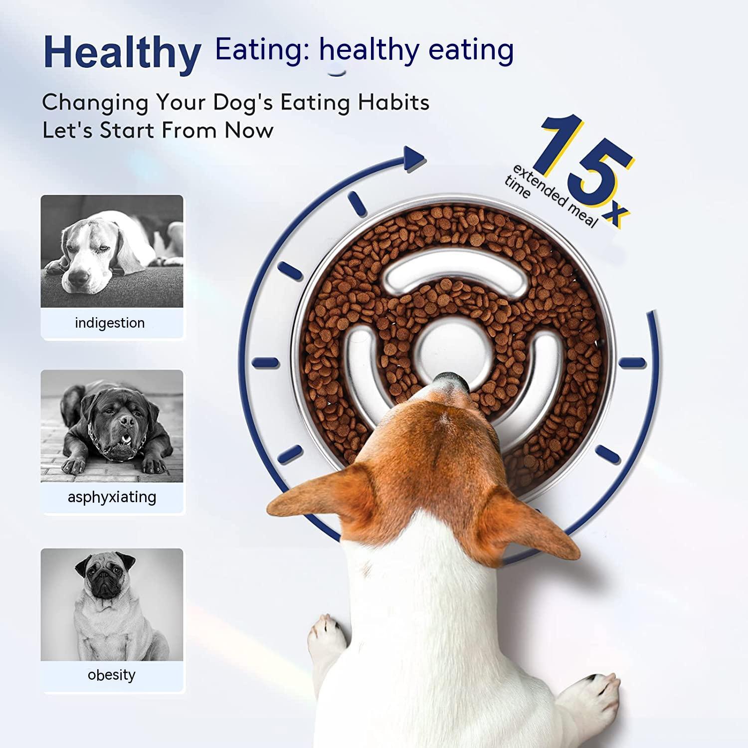 Elevate Your Pet's Dining Experience with Our Stainless Steel Slow Feed Pet Bowl