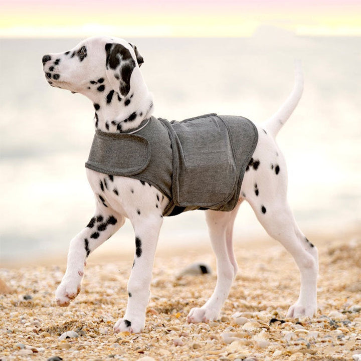 Discover the Comfort of the Anxiety Relief Warm Vest